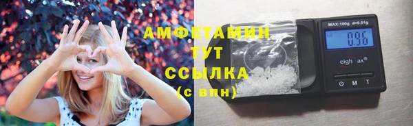 стаф Белокуриха